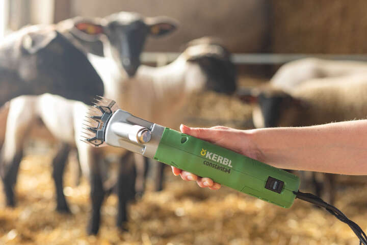 KERBL Schafschermaschine constanta4